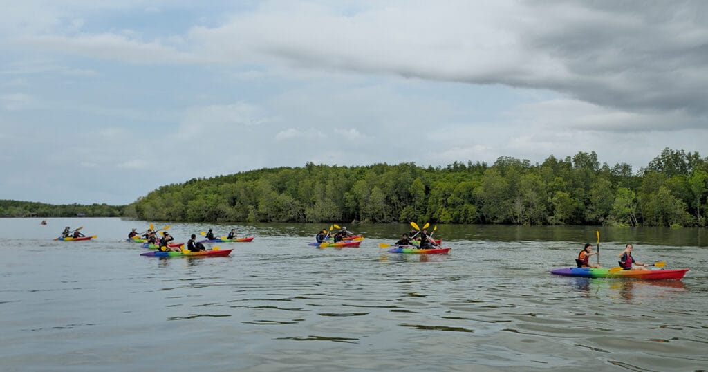 Students kayaking through mangrove waterways during a Java Yachting team-building camp in Krabi, Thailand